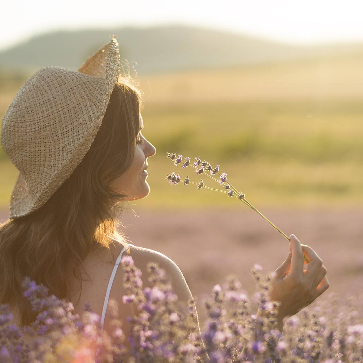 Woman smelling fresh lavender in a field